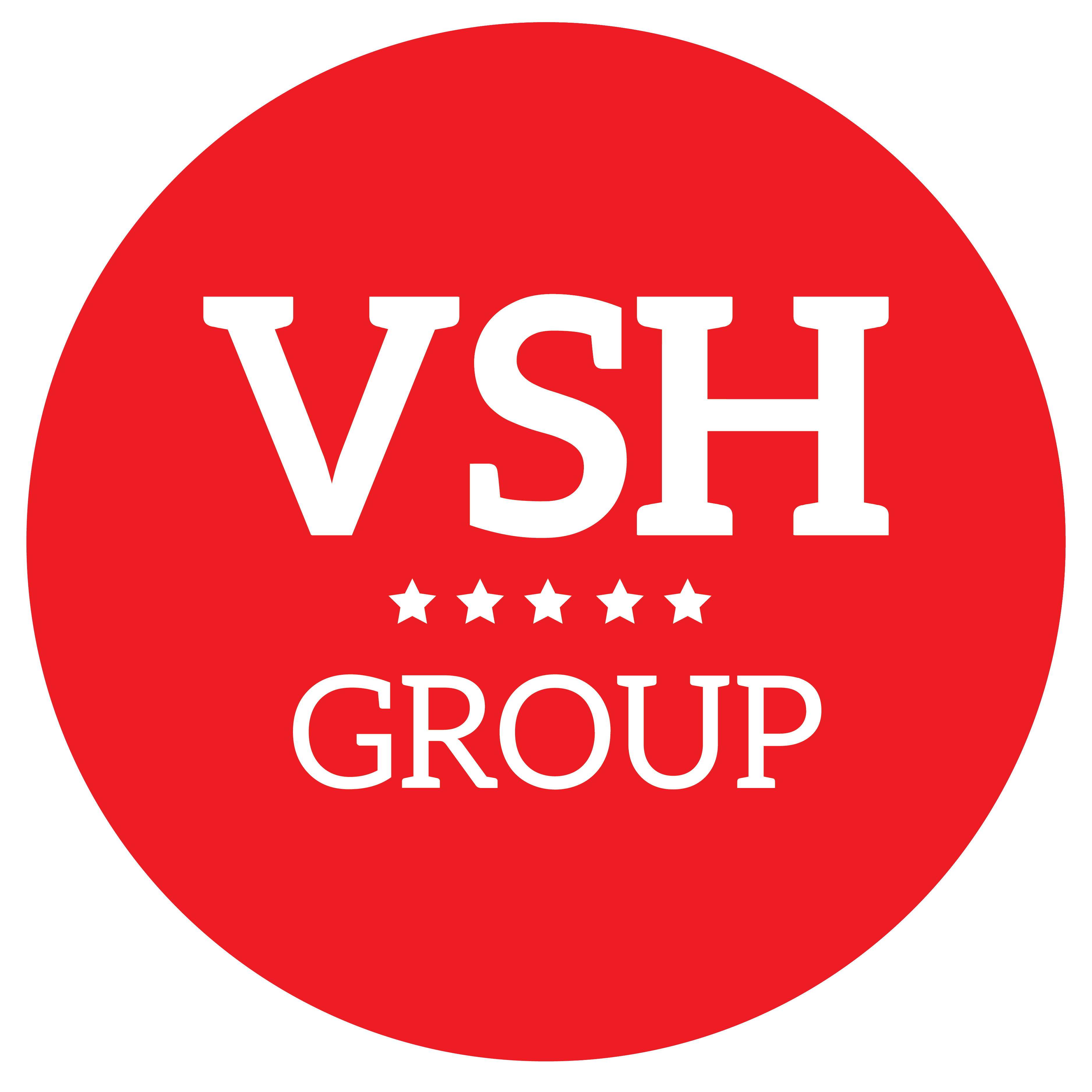 CÔNG TY CỔ PHẦN VSH GROUP