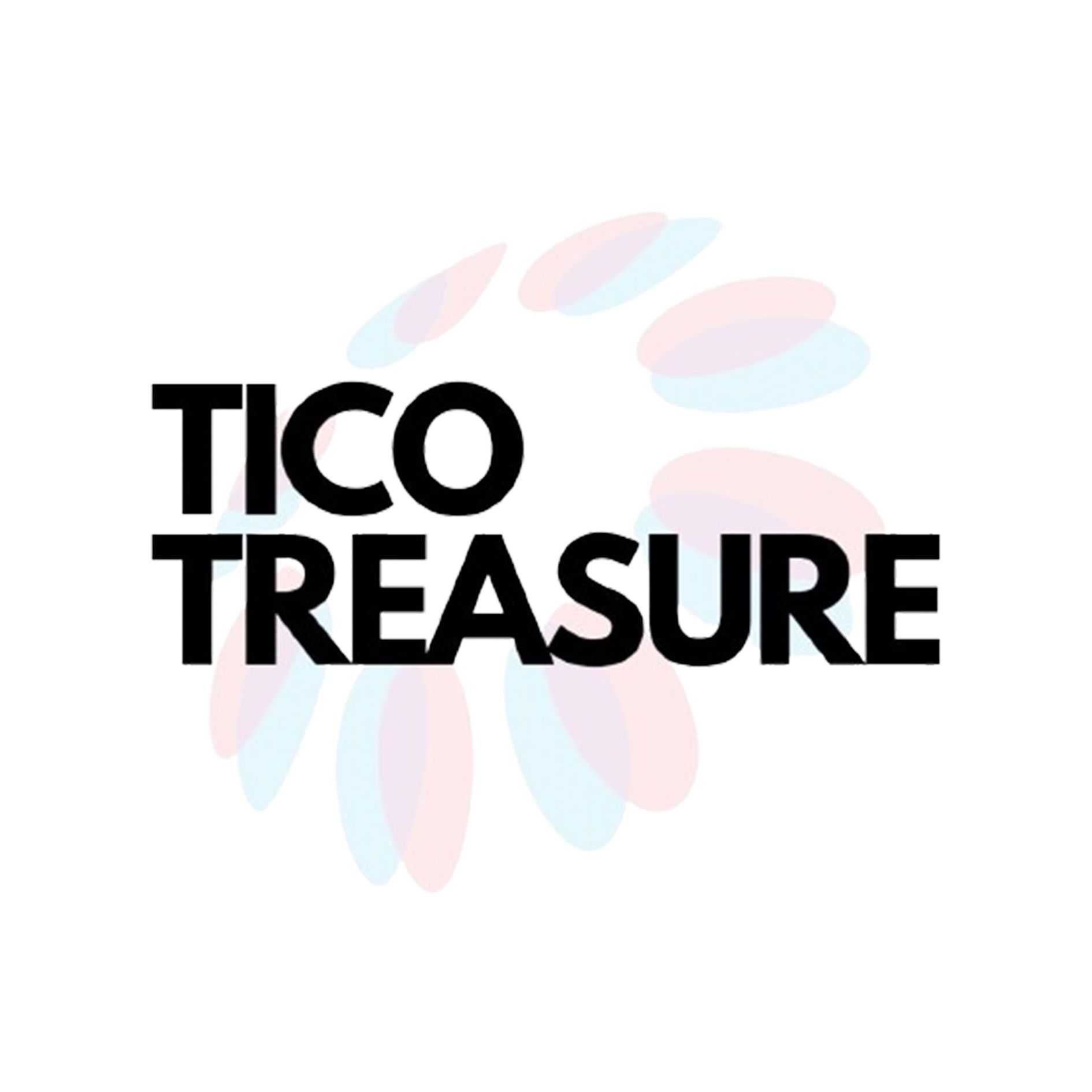 CÔNG TY TNHH TICO TREASURE