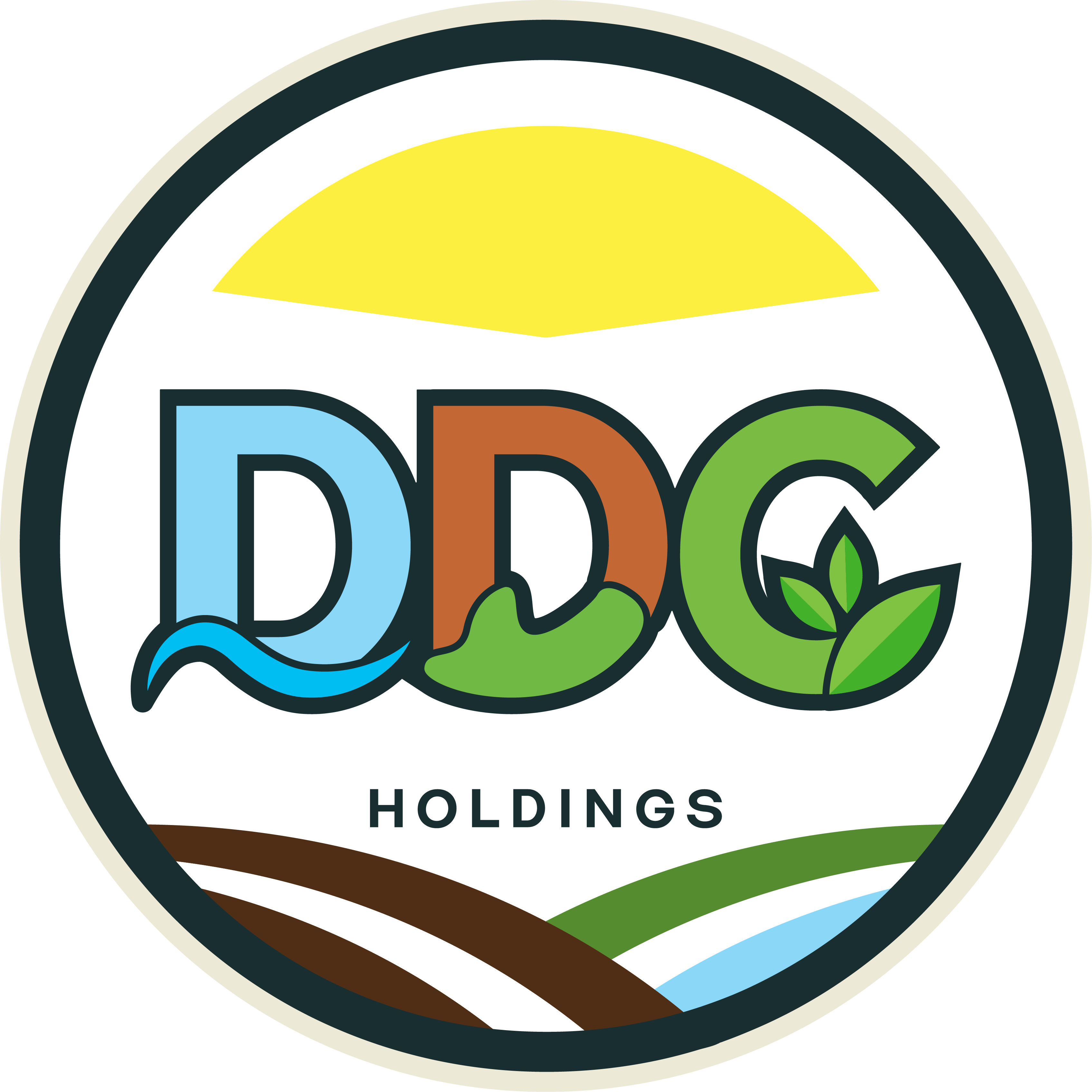 CÔNG TY CỔ PHẦN DDC HOLDINGS