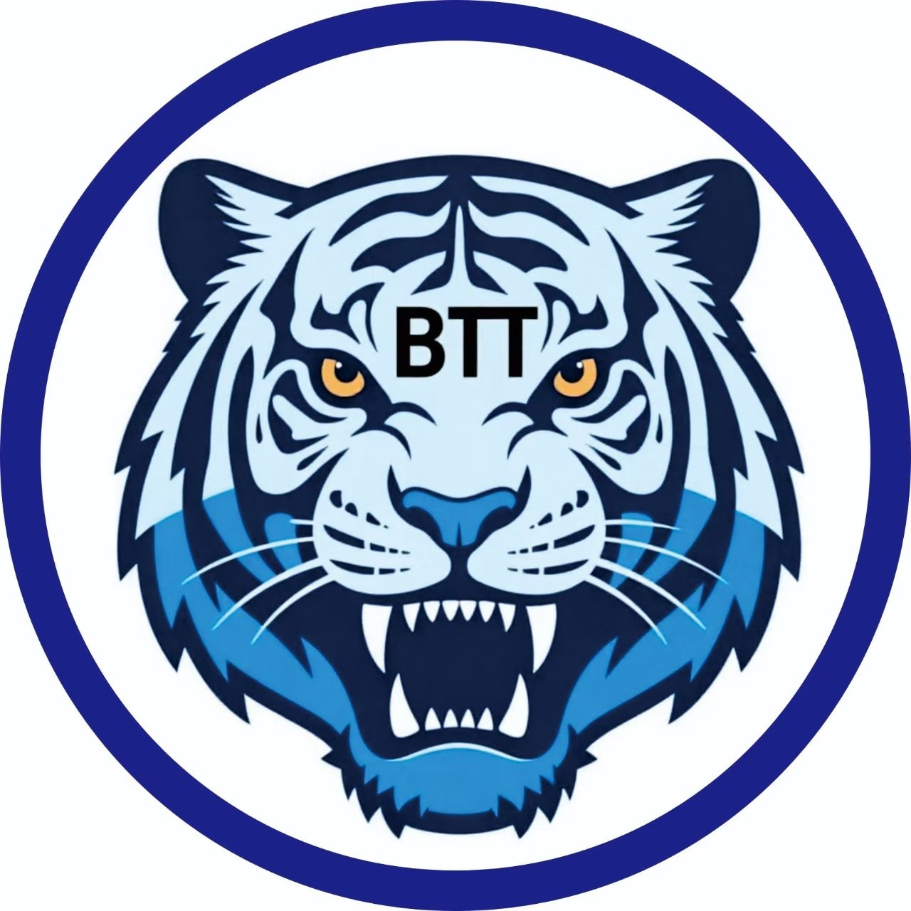 CÔNG TY TNHH BIG TIGER THAILAND