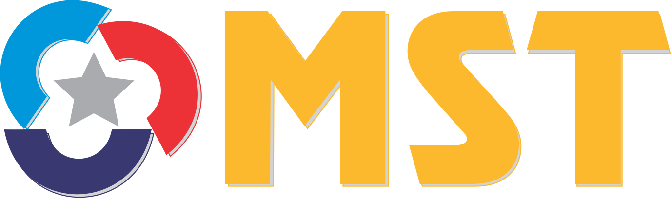 CÔNG TY TNHH VINA MST