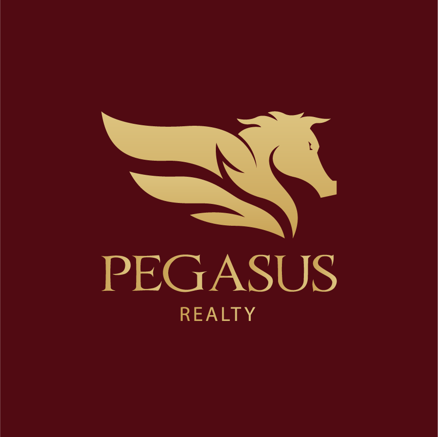 CÔNG TY TNHH TƯ VẤN VÀ ĐẦU TƯ PEGASUS GROUP