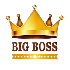 Công ty cổ phần thương mại dịch vụ Big Boss
