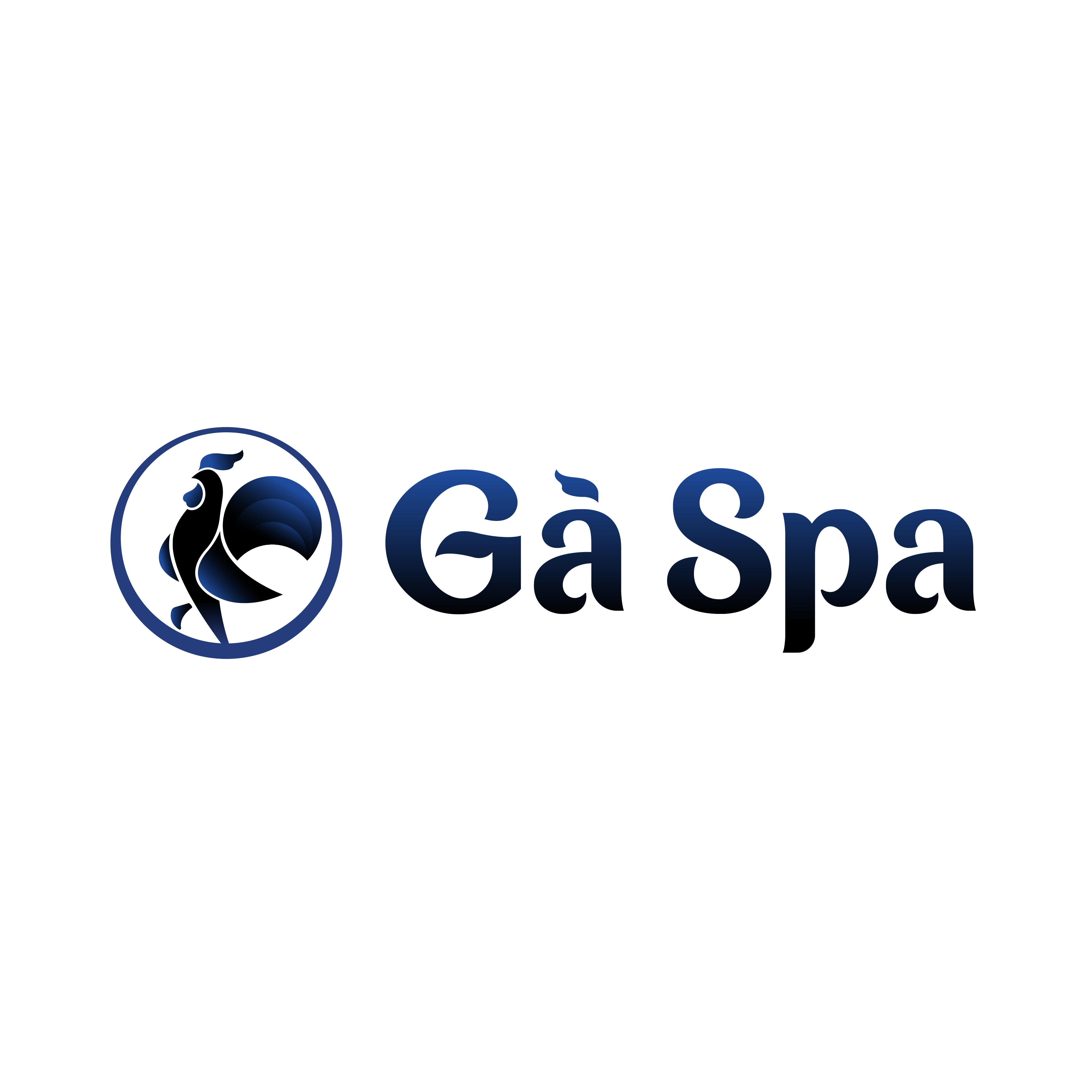 CÔNG TY TNHH MTV GÀ SPA