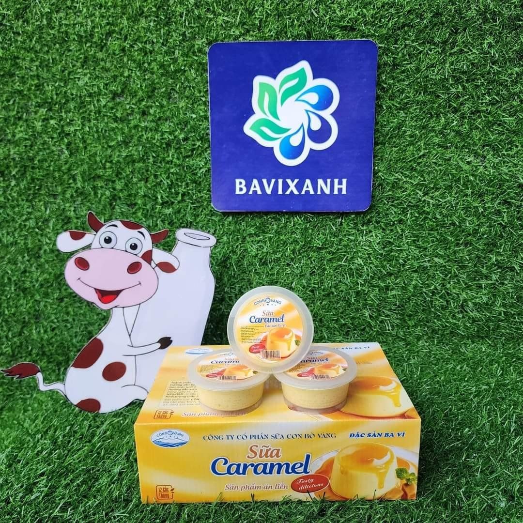 CÔNG TY CỔ PHẦN BA VÌ XANH