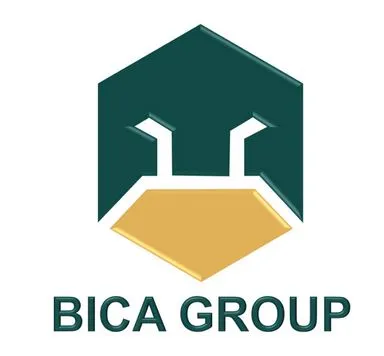CÔNG TY CỔ PHẦN ĐẦU TƯ BICA HOLDINGS