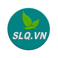 CÔNG TY TNHH SHELL LAIQI VIỆT NAM