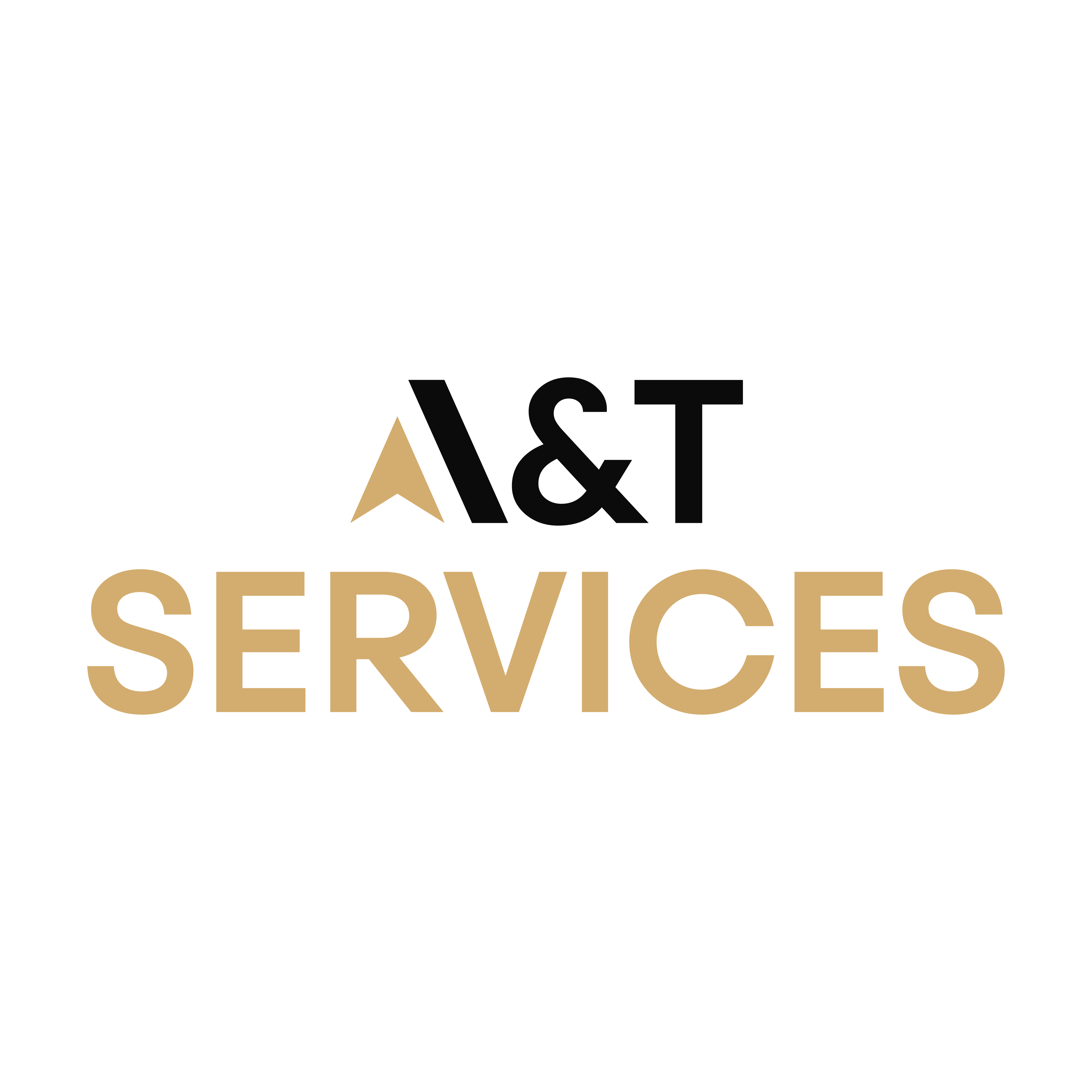 CÔNG TY CỔ PHẦN ĐẦU TƯ VÀ DỊCH VỤ A&T SERVICES