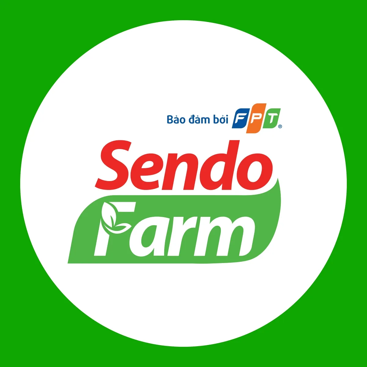 Sendofarm Thuộc Sen Đỏ_ FPT