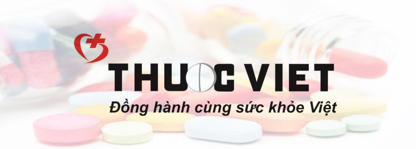 CÔNG TY TNHH DP THUỐC VIỆT