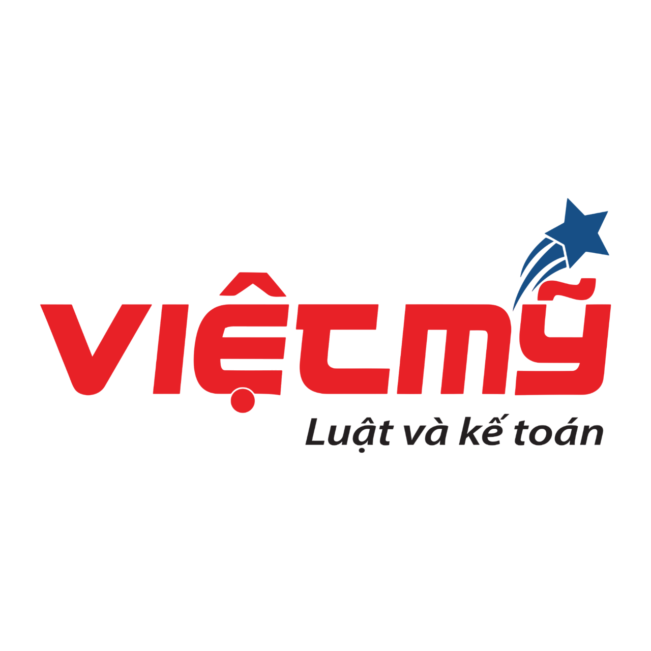 CÔNG TY TNHH TẬP ĐOÀN LUẬT VÀ KẾ TOÁN VIỆT MỸ