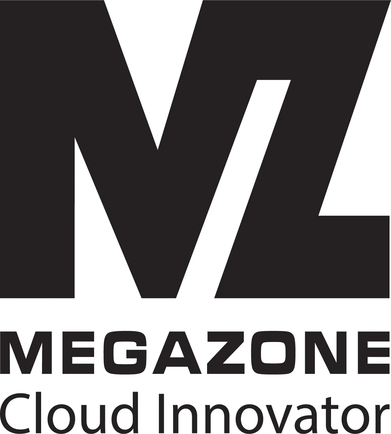 CÔNG TY TNHH MEGAZONE VIỆT NAM