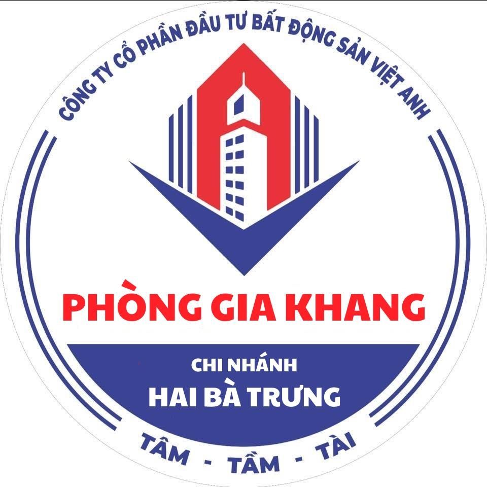 CÔNG TY CỔ PHẦN ĐẦU TƯ BẤT ĐỘNG SẢN VIỆT ANH