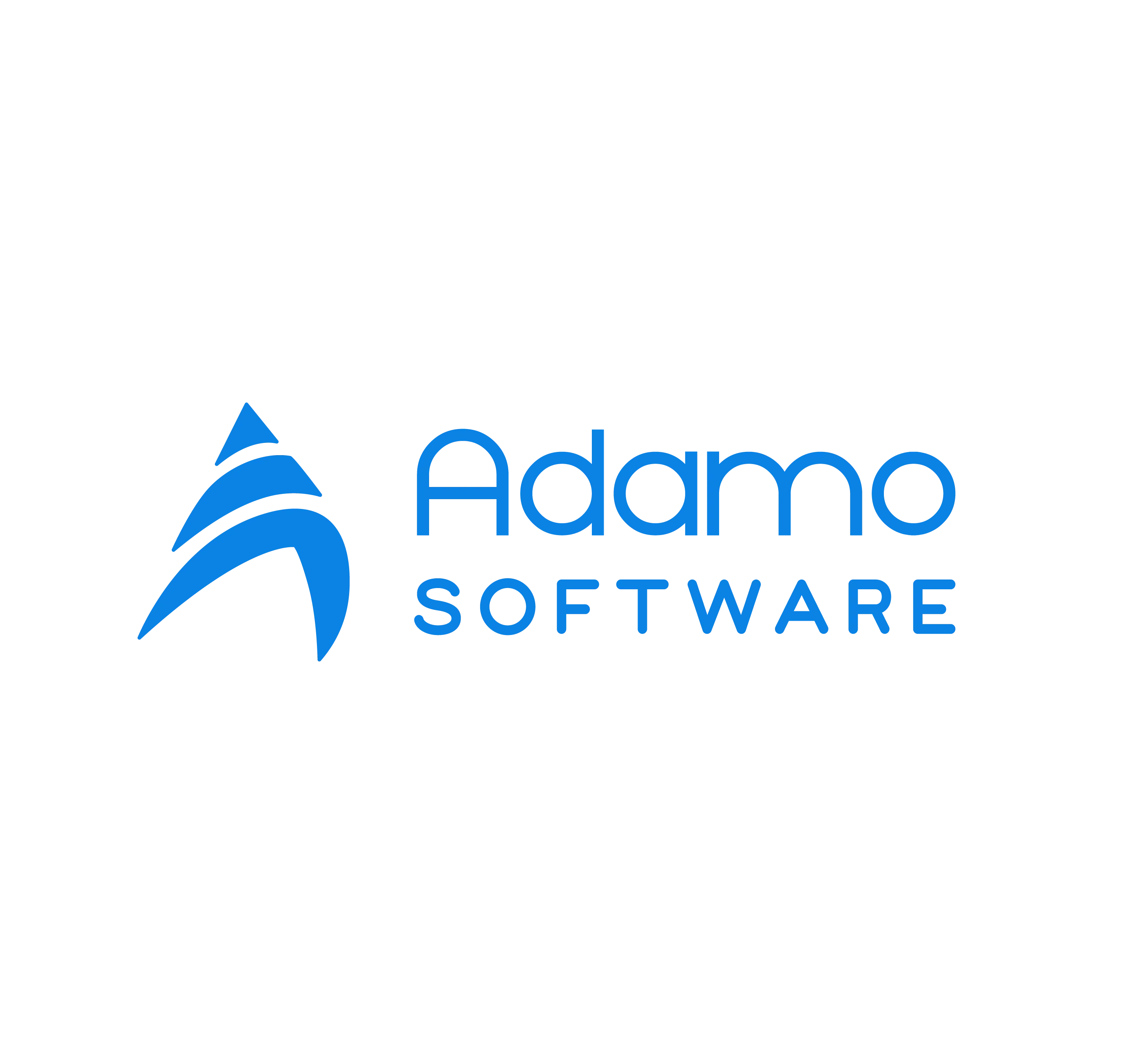 Công ty Cổ phần Adamo Software