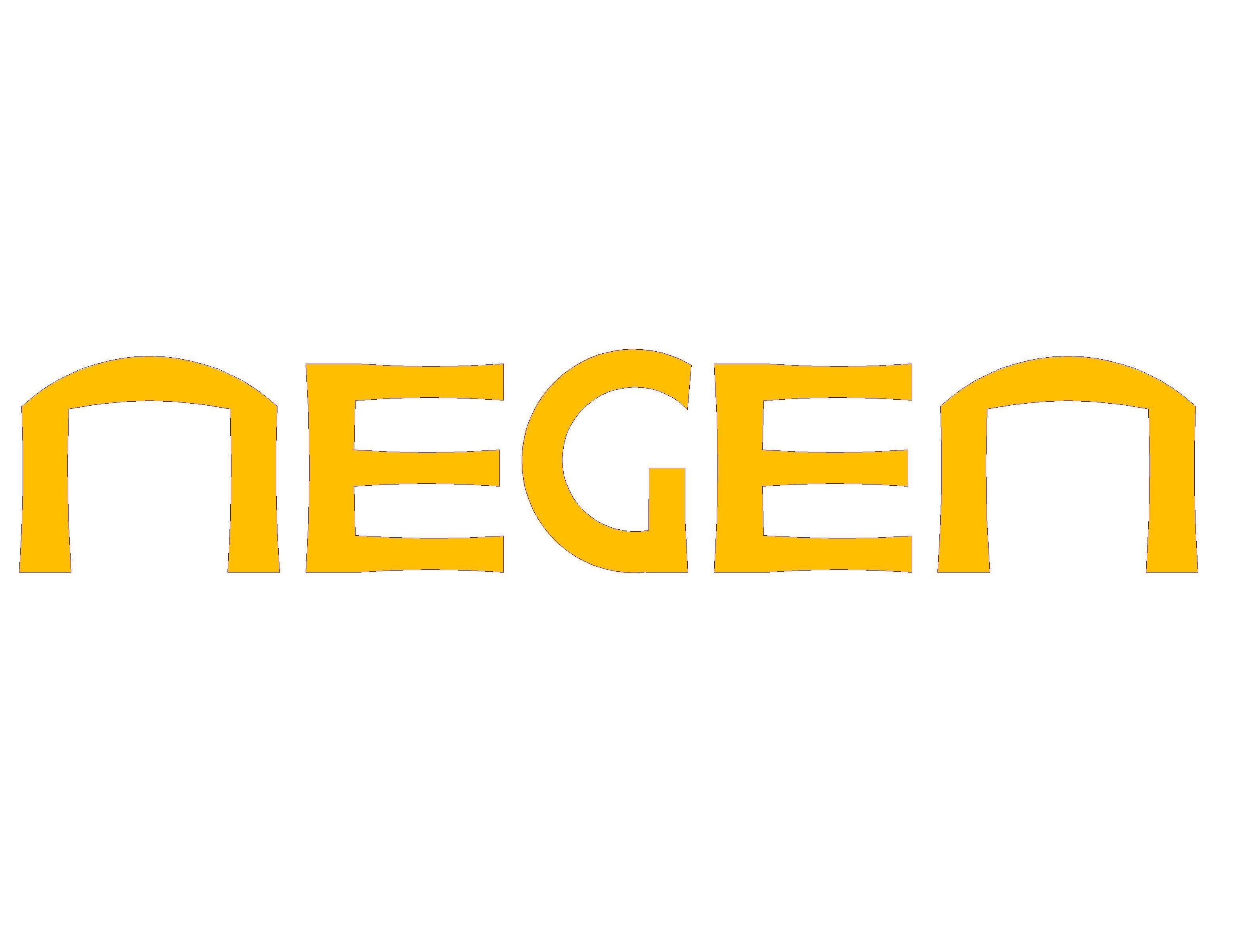 CÔNG TY CỔ PHẦN ĐẦU TƯ XÂY DỰNG NEGEN