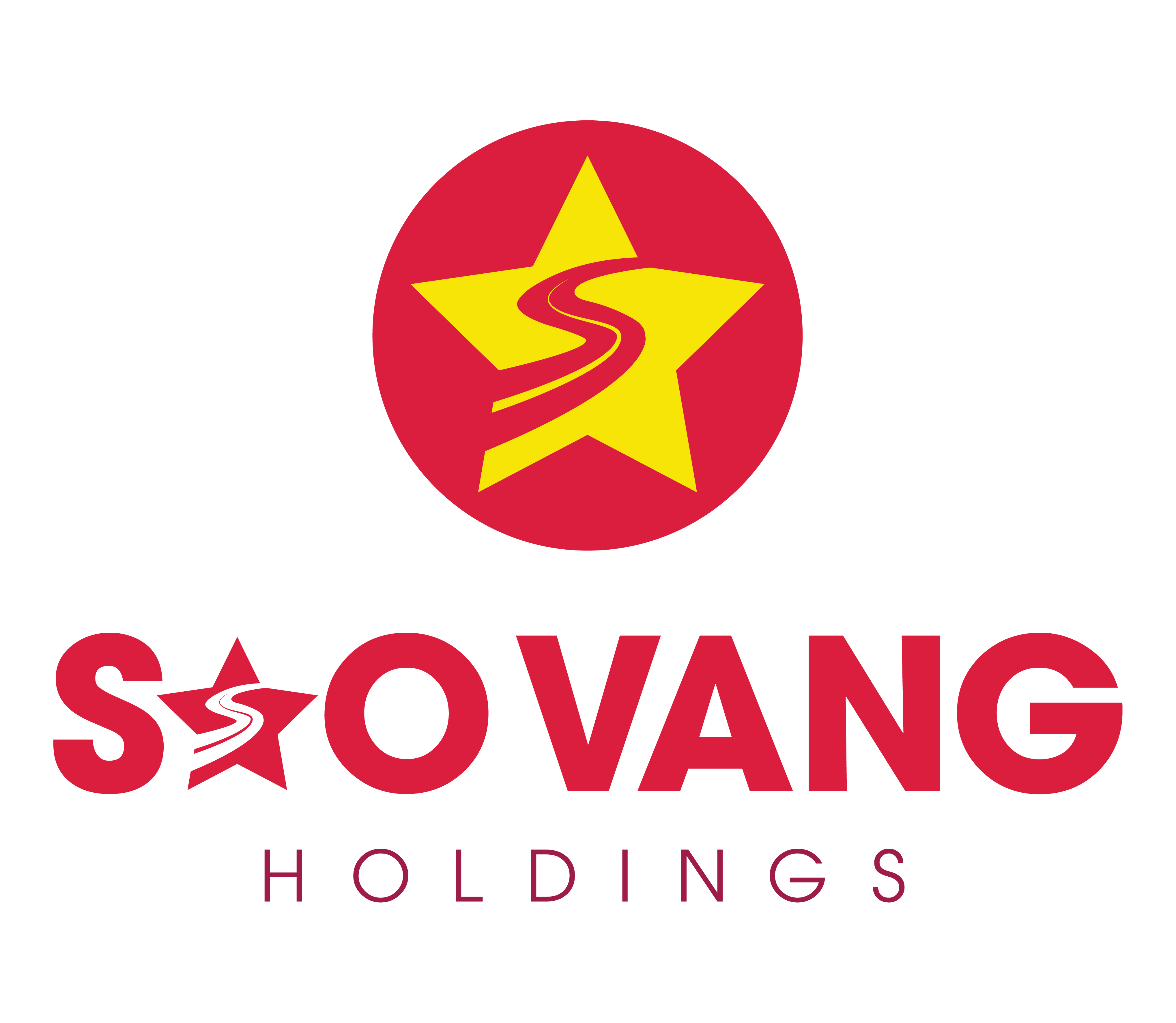 CÔNG TY CỔ PHẦN PHÁT TRIỂN TÀI SẢN SAO VÀNG HOLDINGS