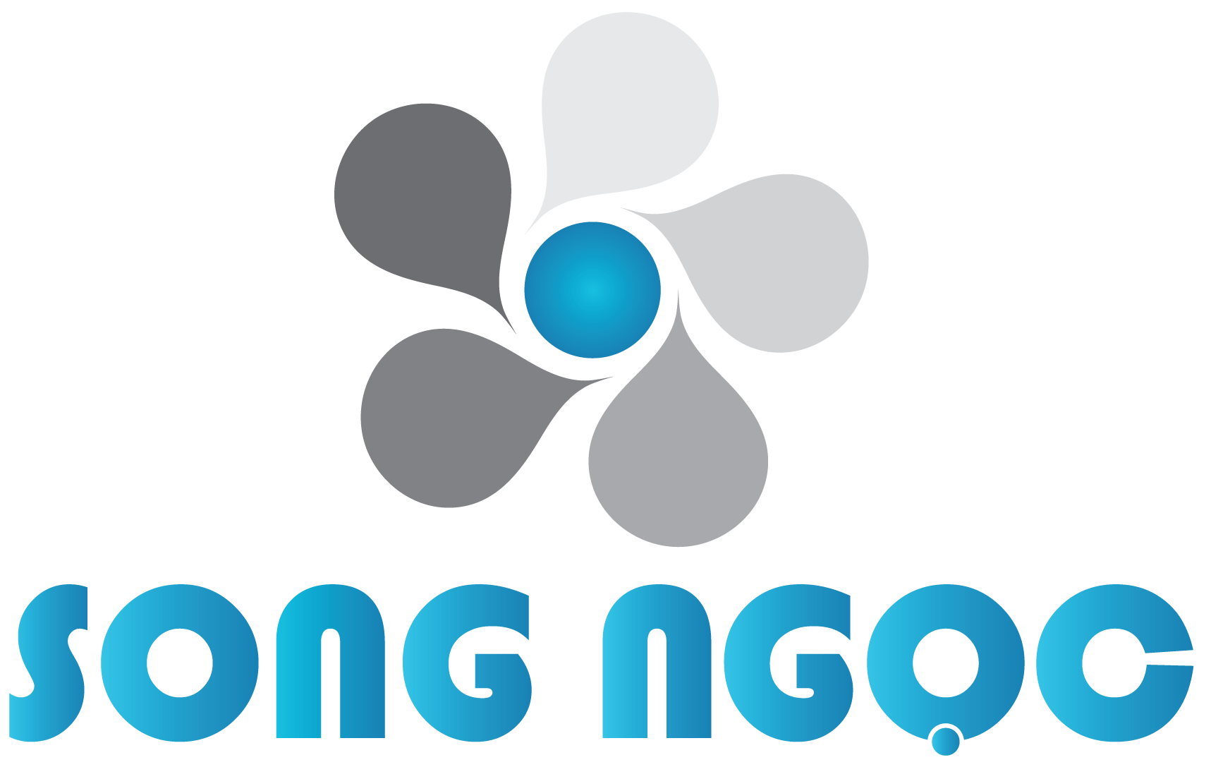 CÔNG TY TNHH TƯ VẤN - DỊCH VỤ - ĐẦU TƯ SONG NGỌC