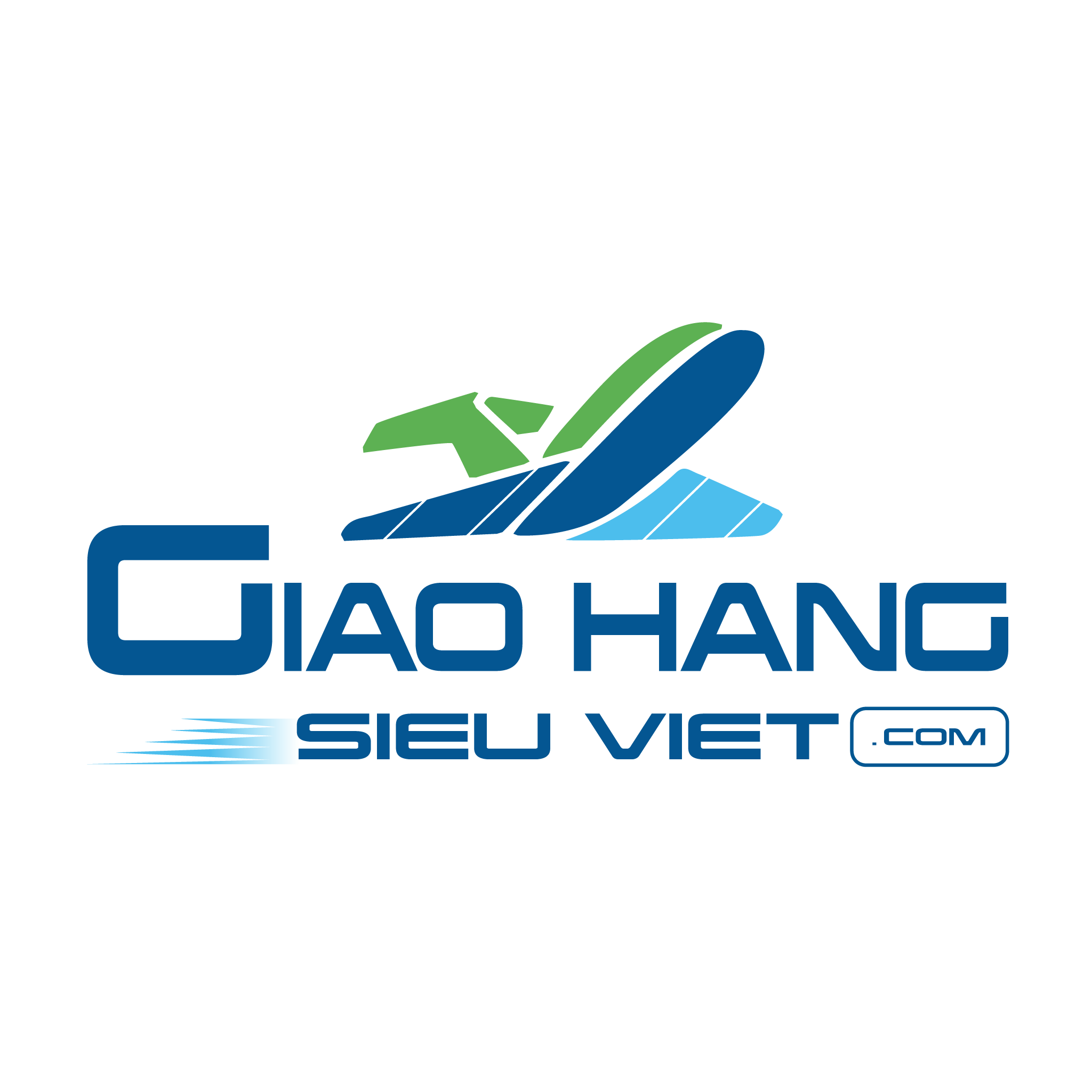 CÔNG TY CỔ PHẦN DỊCH VỤ GIAO HÀNG SIÊU VIỆT