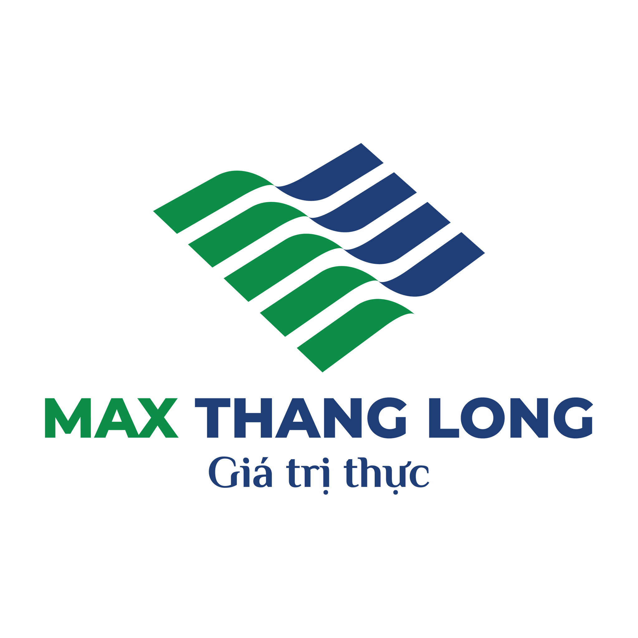 CÔNG TY CỔ PHẦN BẤT ĐỘNG SẢN MAX THĂNG LONG