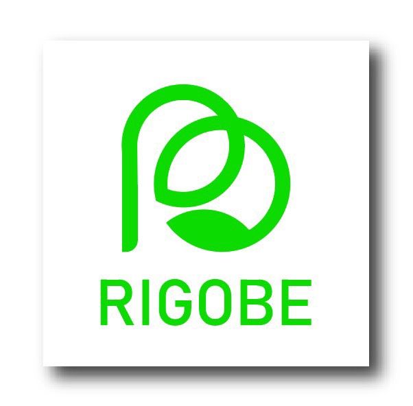 CÔNG TY CỔ PHẦN DP RIGOBE ĐÔNG DƯƠNG