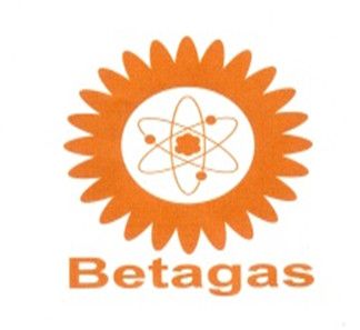 CÔNG TY TNHH KHÍ DẦU MỎ HÓA LỎNG BE TA GAS