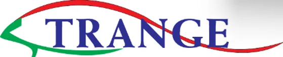 CÔNG TY TNHH TECHNOLOGY ELECTRONIC STRANGE VIỆT NAM