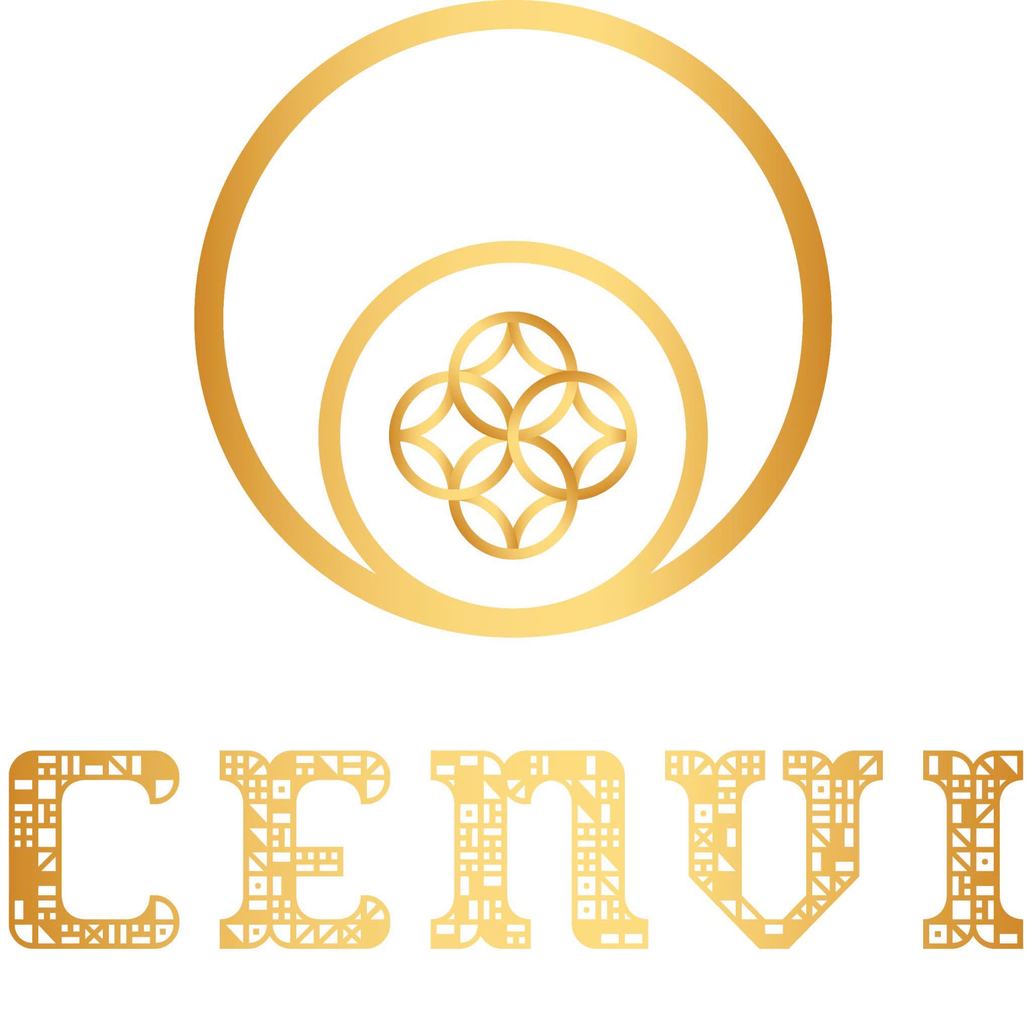 CÔNG TY CỔ PHẦN TƯ VẤN GIẢI PHÁP CENVI