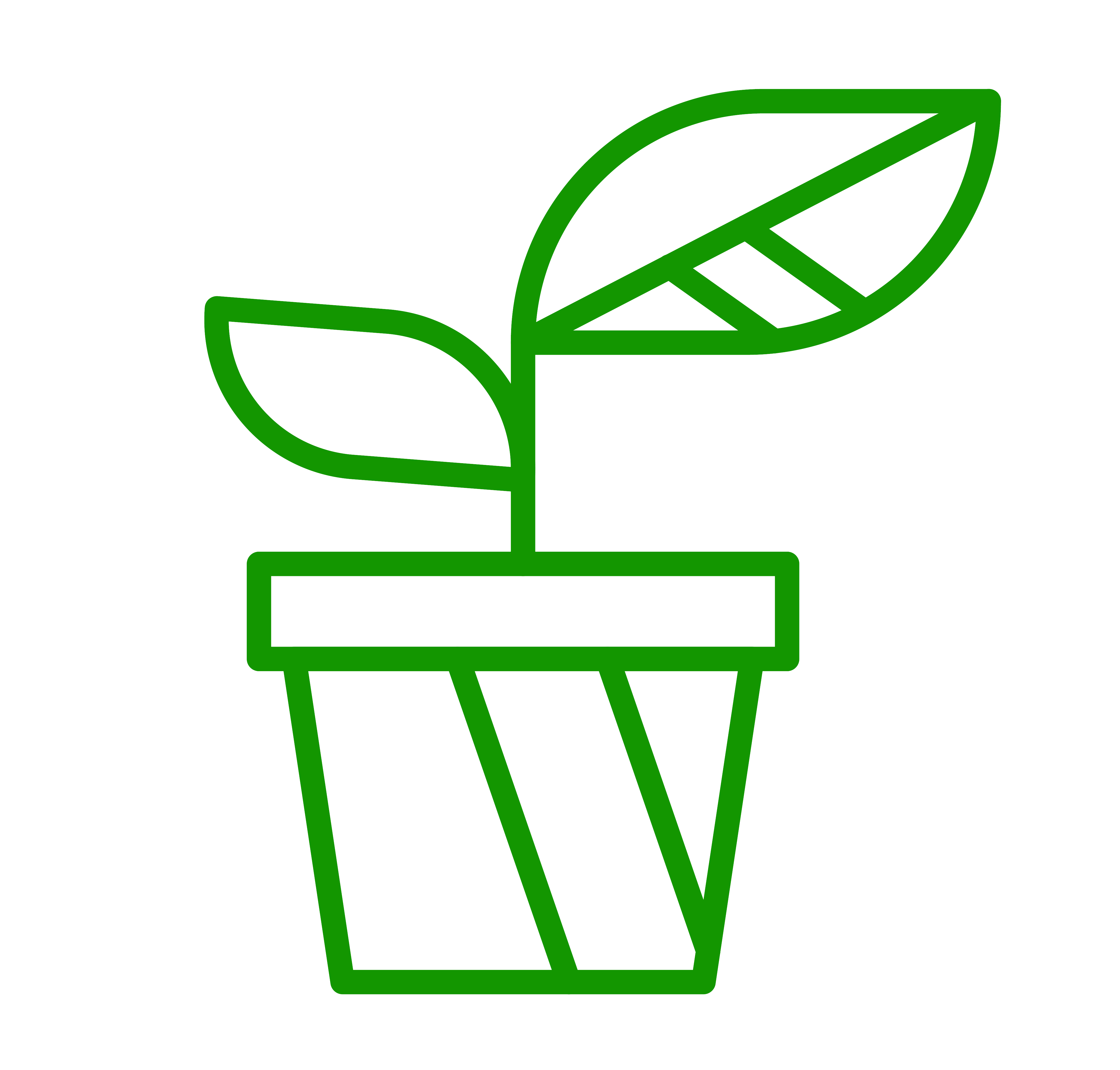 CÔNG TY TNHH MEGA SEED
