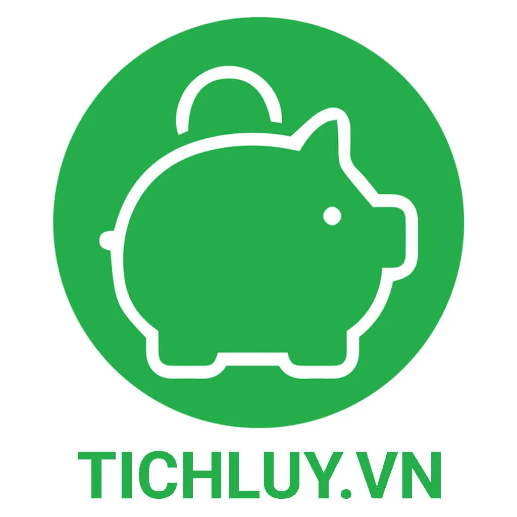 Công ty Cổ phần Tích Lũy