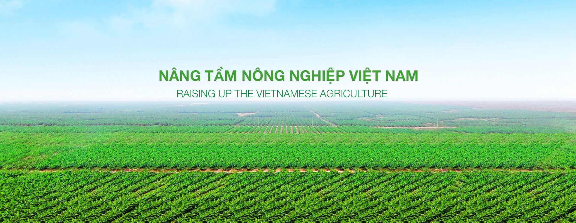 CÔNG TY CỔ PHẦN NÔNG NGHIỆP TRƯỜNG HẢI
