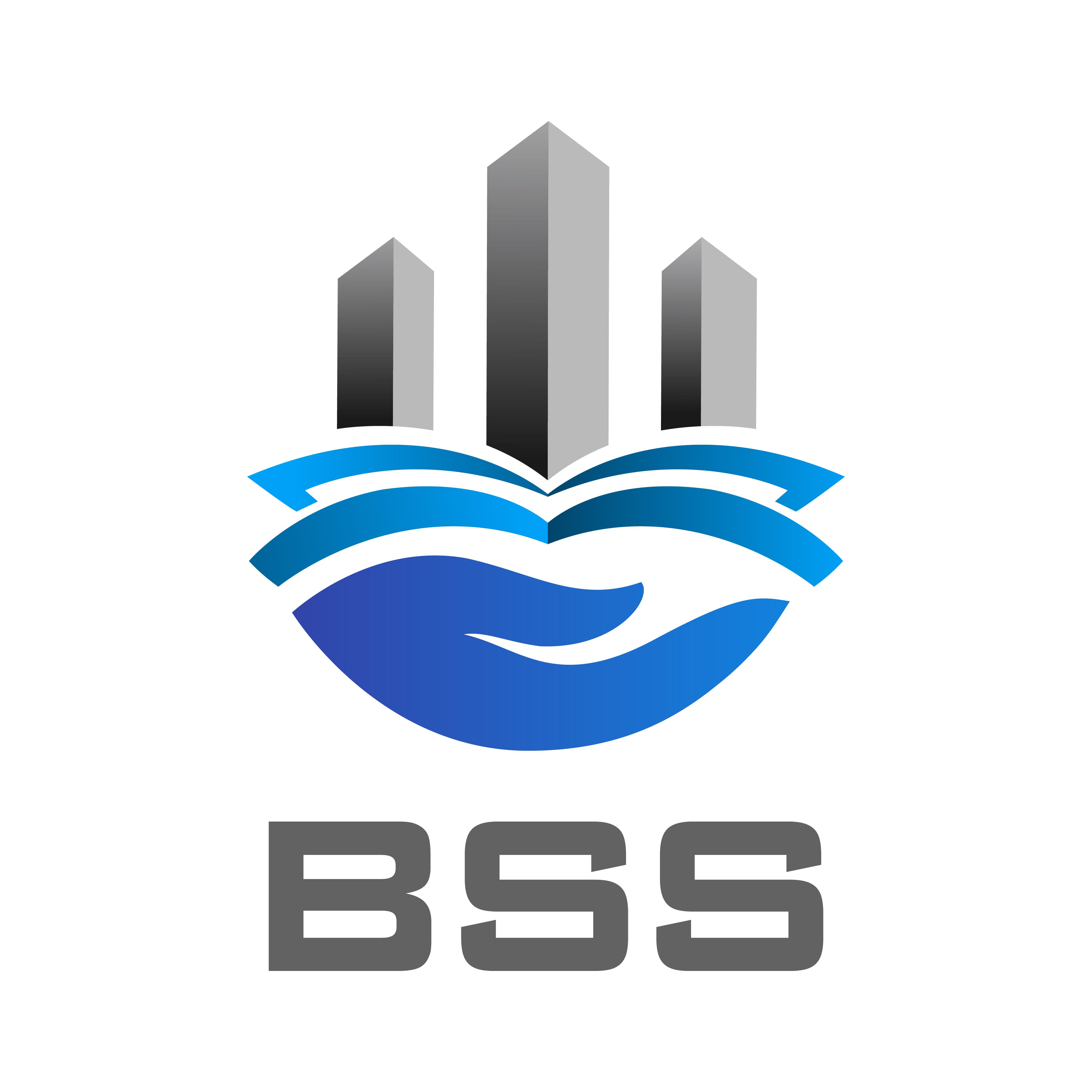CÔNG TY TNHH TƯ VẤN QUẢN LÝ BSS