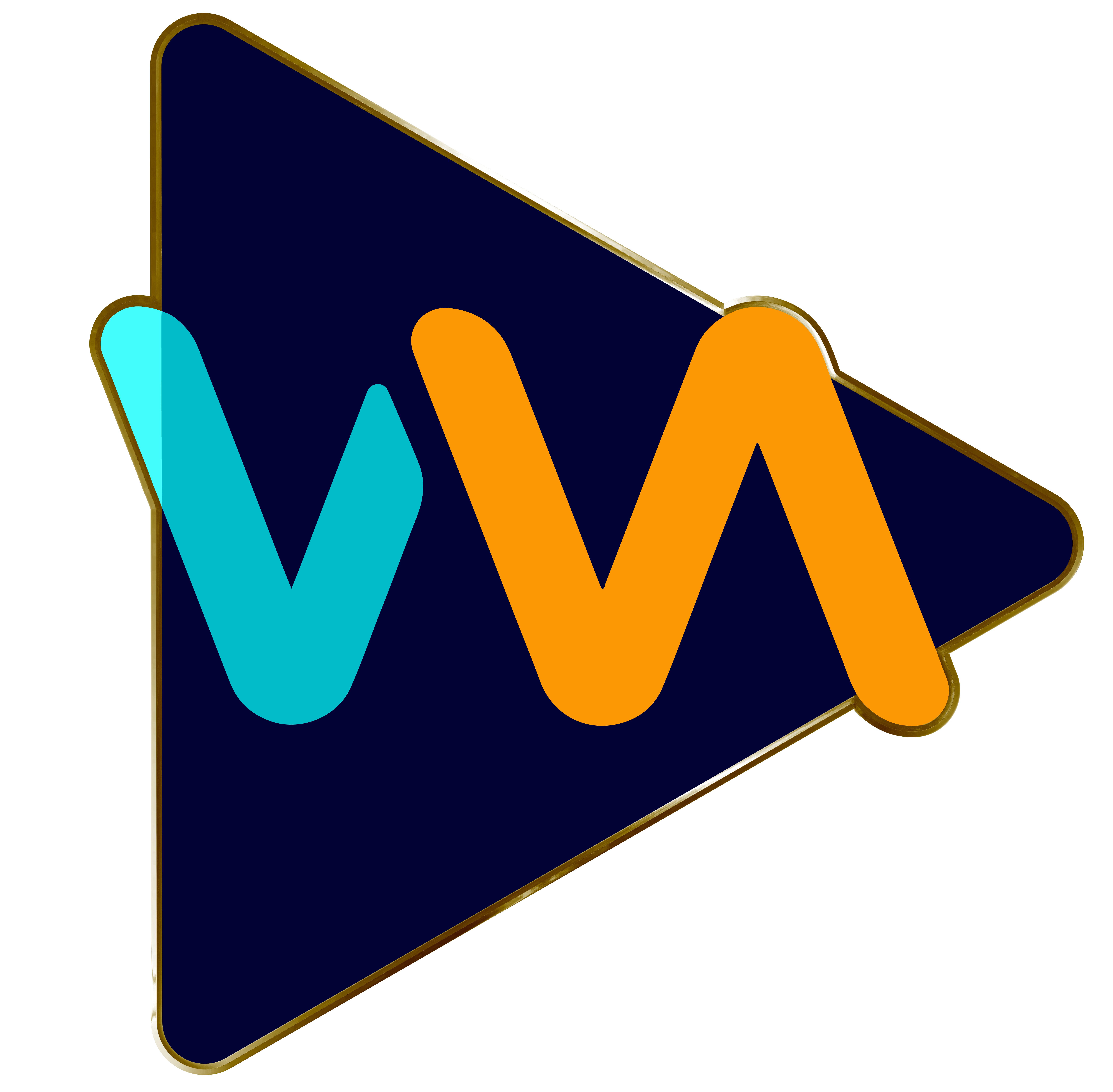 CÔNG TY CỔ PHẦN VIC MEDIA ENTERTAINMENT