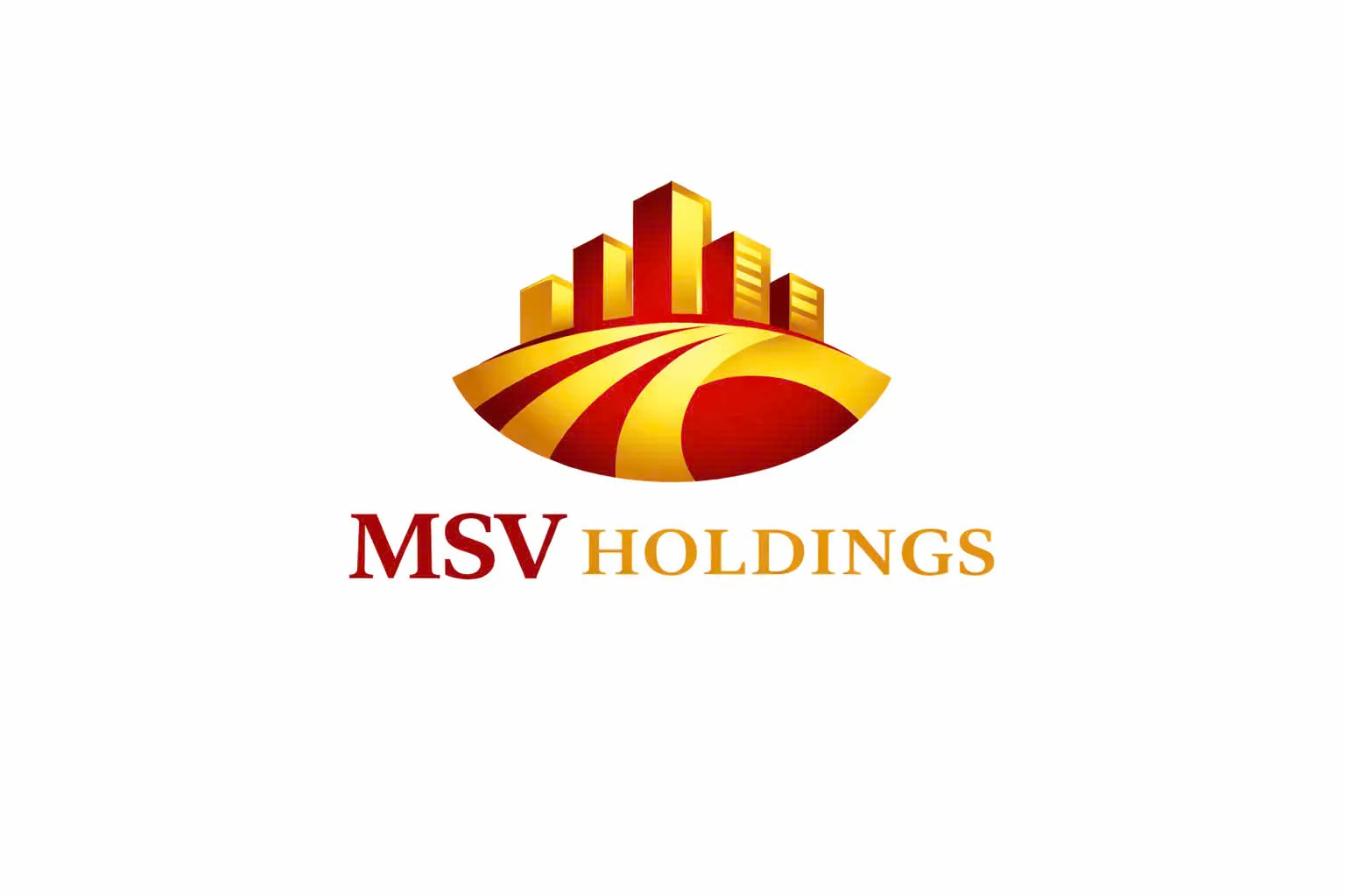 CÔNG TY CỔ PHẦN MSV HOLDINGS