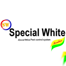 CÔNG TY TNHH SPECIAL WHITE