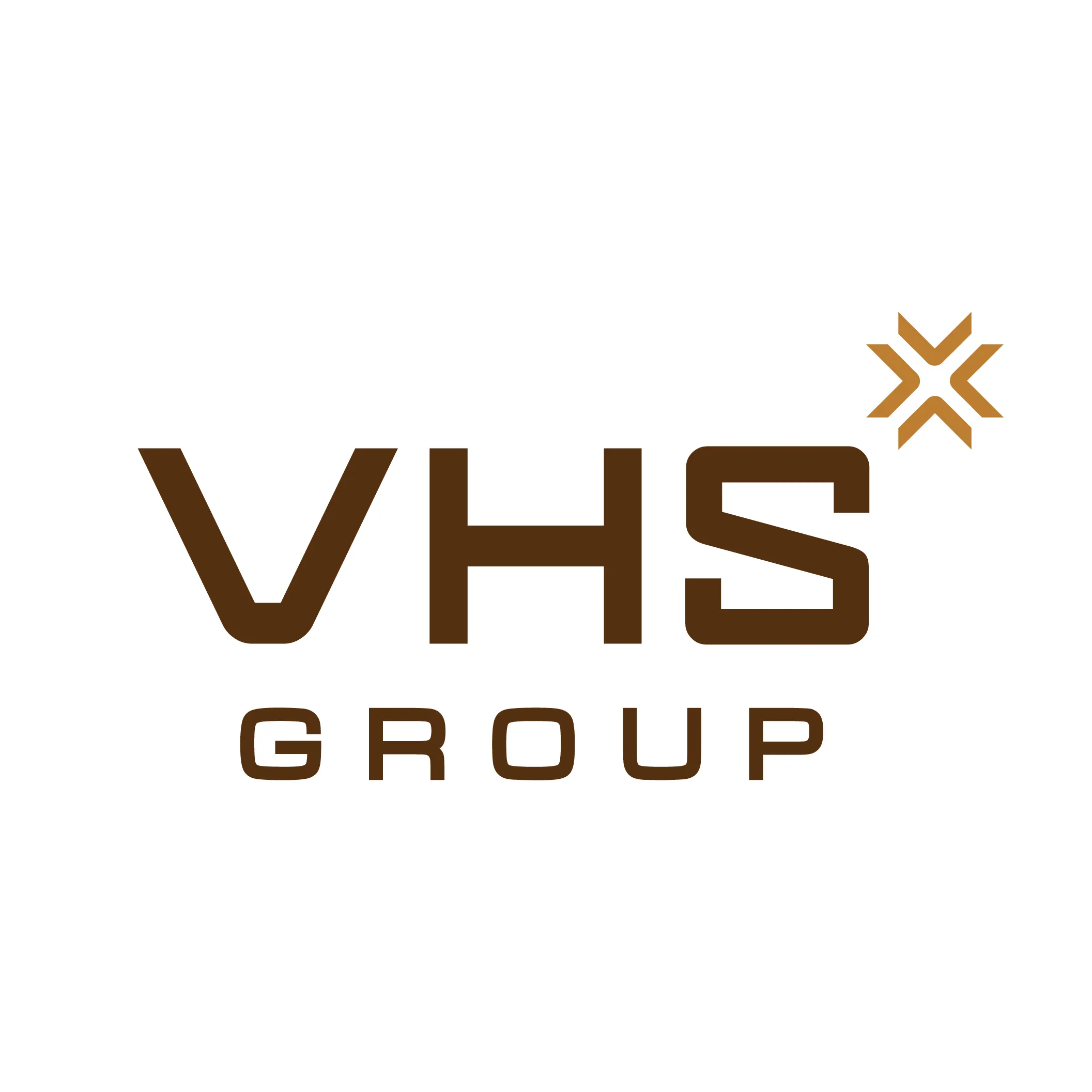 CÔNG TY CỔ PHẦN TẬP ĐOÀN VHS