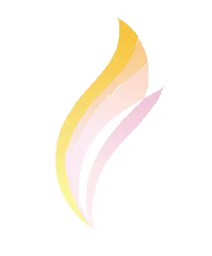 CÔNG TY TNHH TM & DỊCH VỤ SUNFLOWER