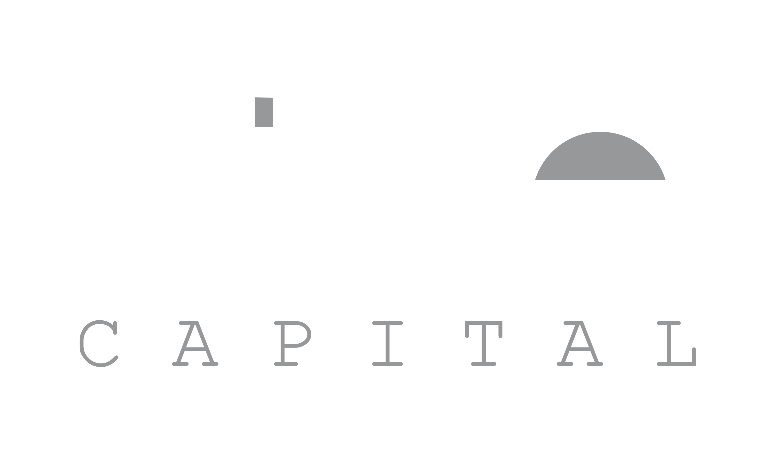 CÔNG TY CỔ PHẦN RISE CAPITAL