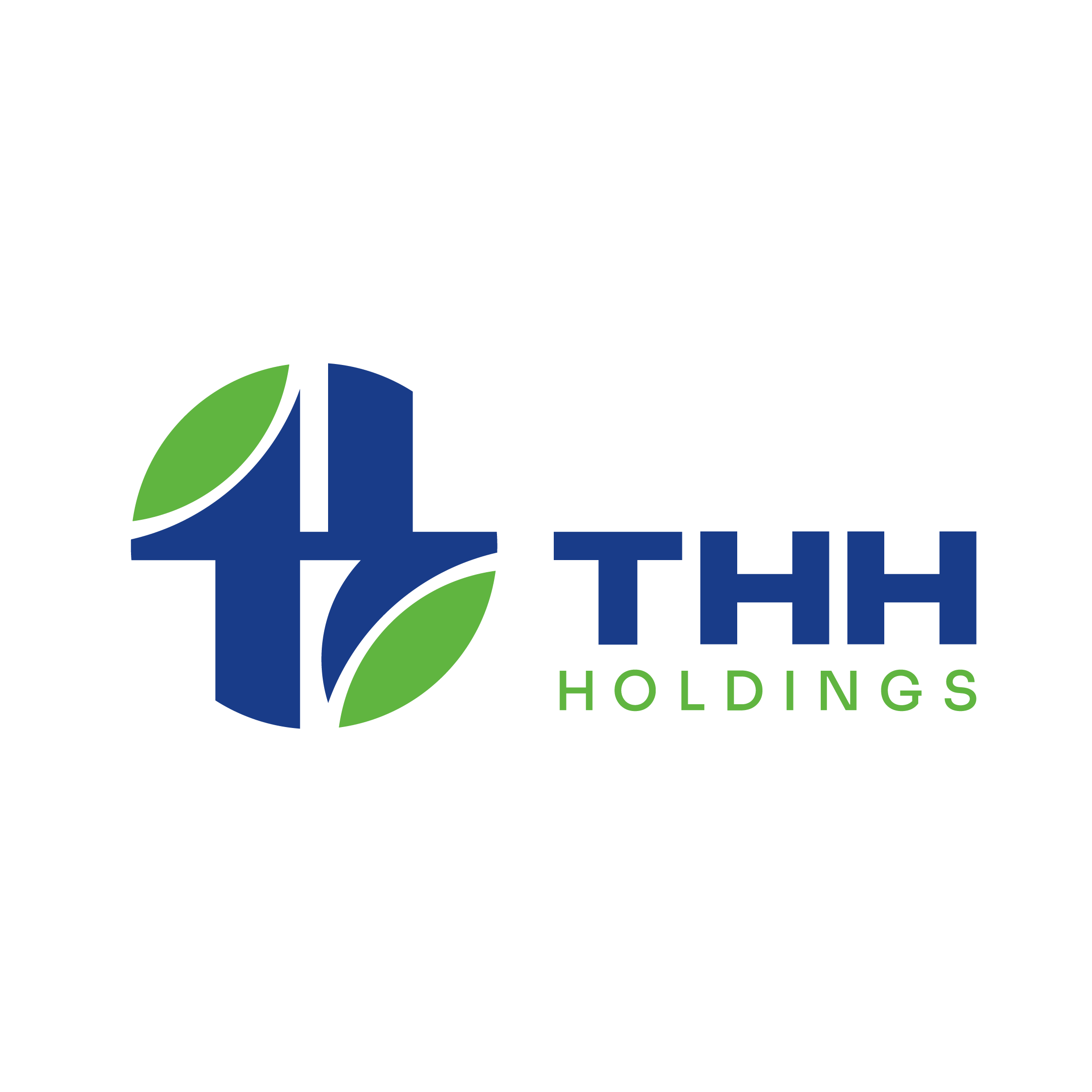 Công ty Cổ phần Tập đoàn THH Holdings