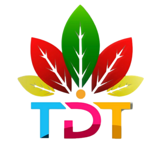 Công ty Cổ phần Đầu tư Dịch vụ và Thương mại TDT