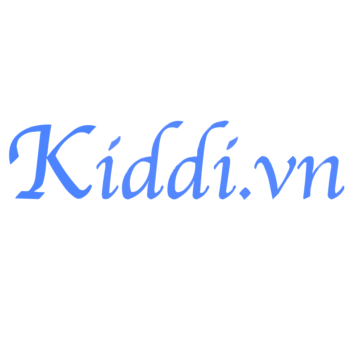 CÔNG TY TNHH KIDDI VIỆT NAM