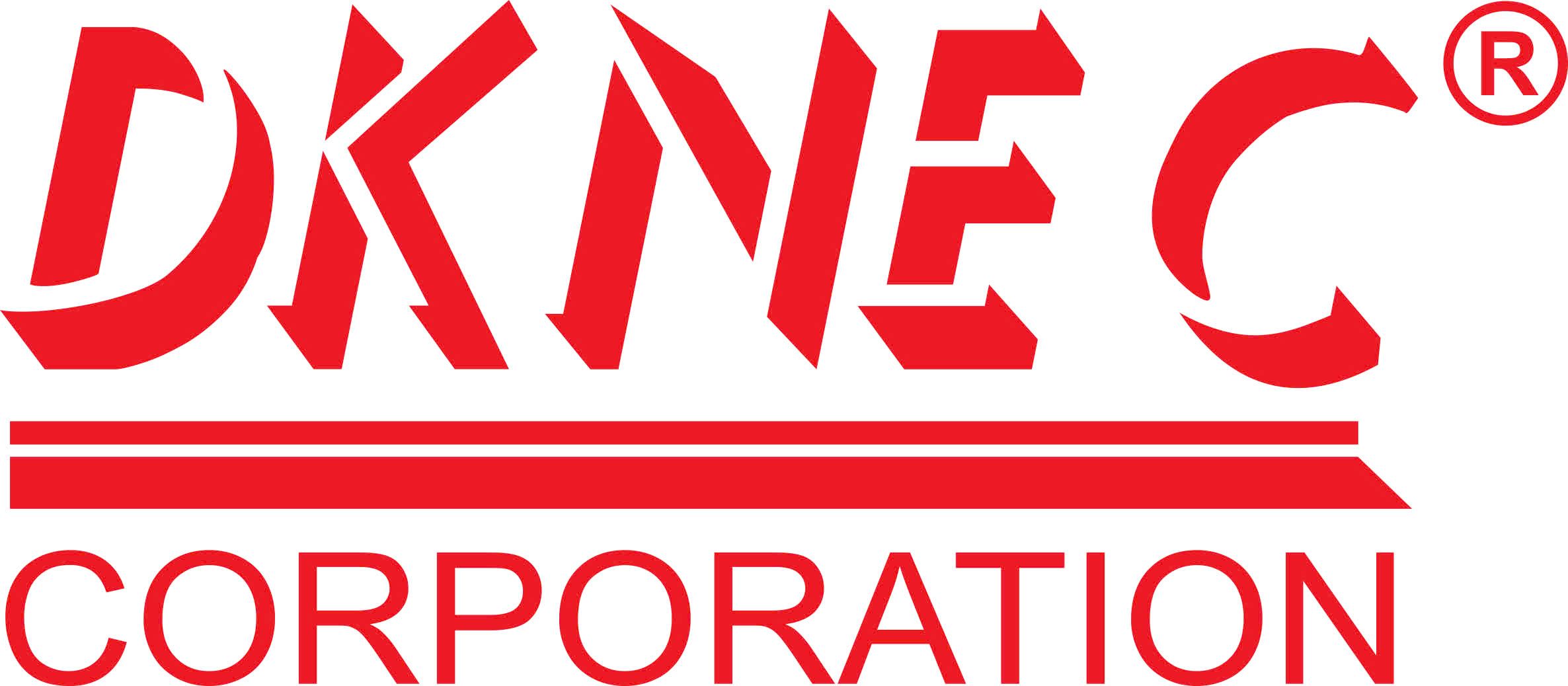 CÔNG TY CP TẬP ĐOÀN DKNEC