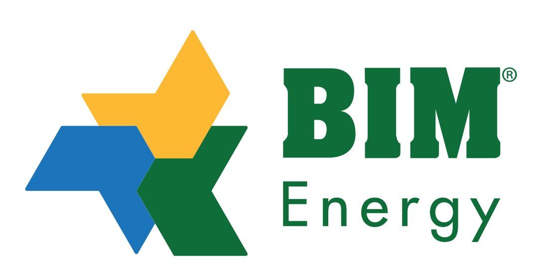 CÔNG TY CỔ PHẦN TẬP ĐOÀN NĂNG LƯỢNG BIM