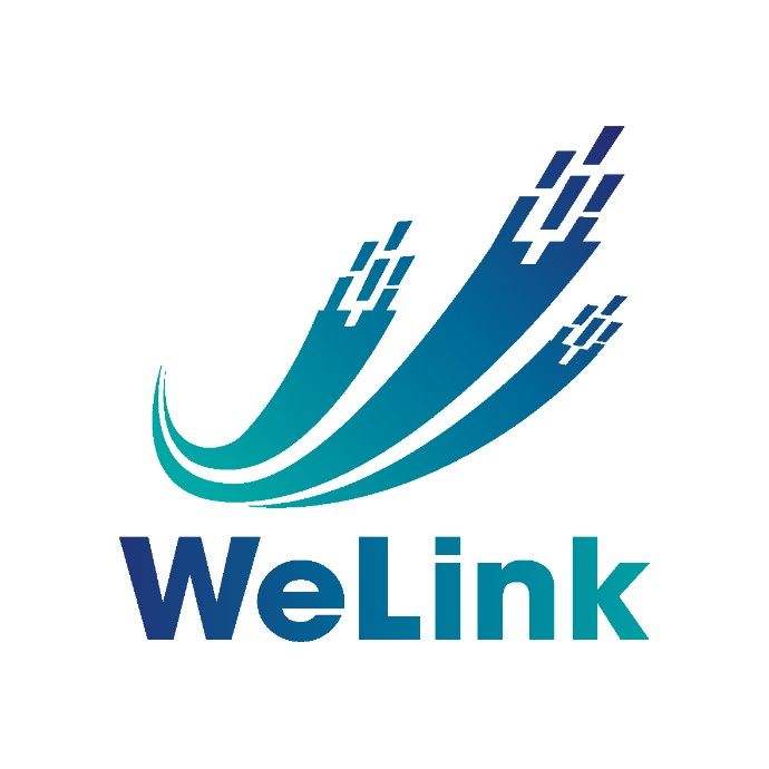 WELINK PHOTOELECTRICITY COMPANY LIMITED