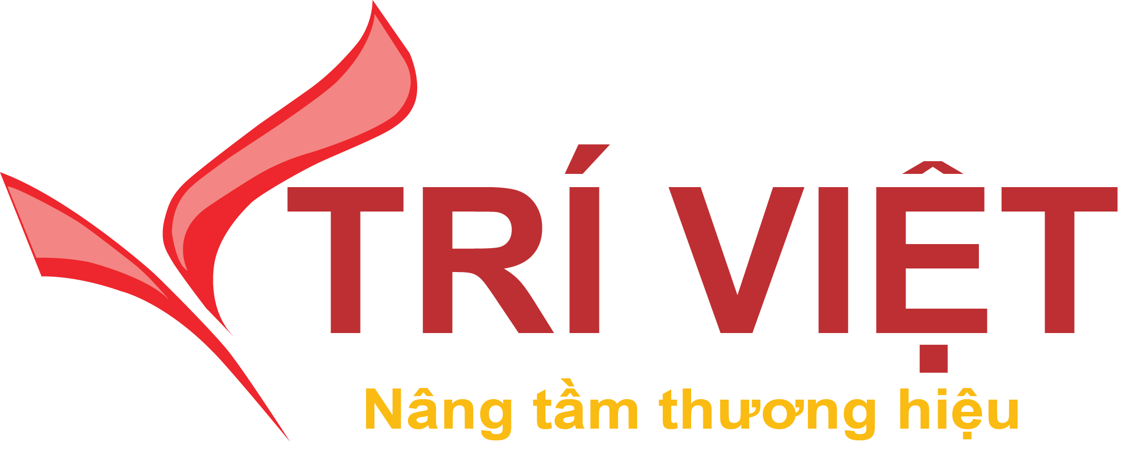 CÔNG TY TNHH TƯ VẤN GIẢI PHÁP TRÍ VIỆT