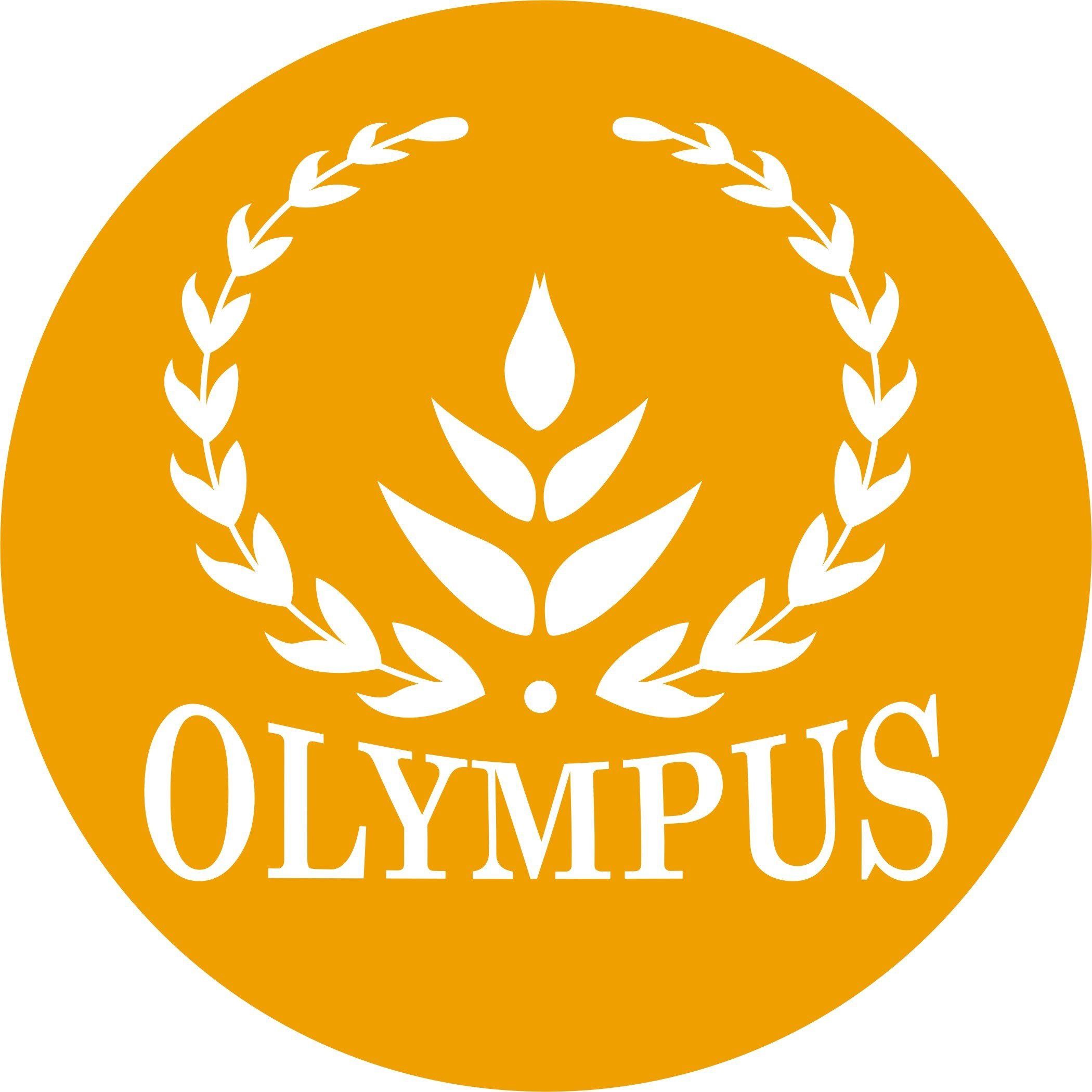 Nhóm trẻ, lớp mẫu giáo độc lập Olympia