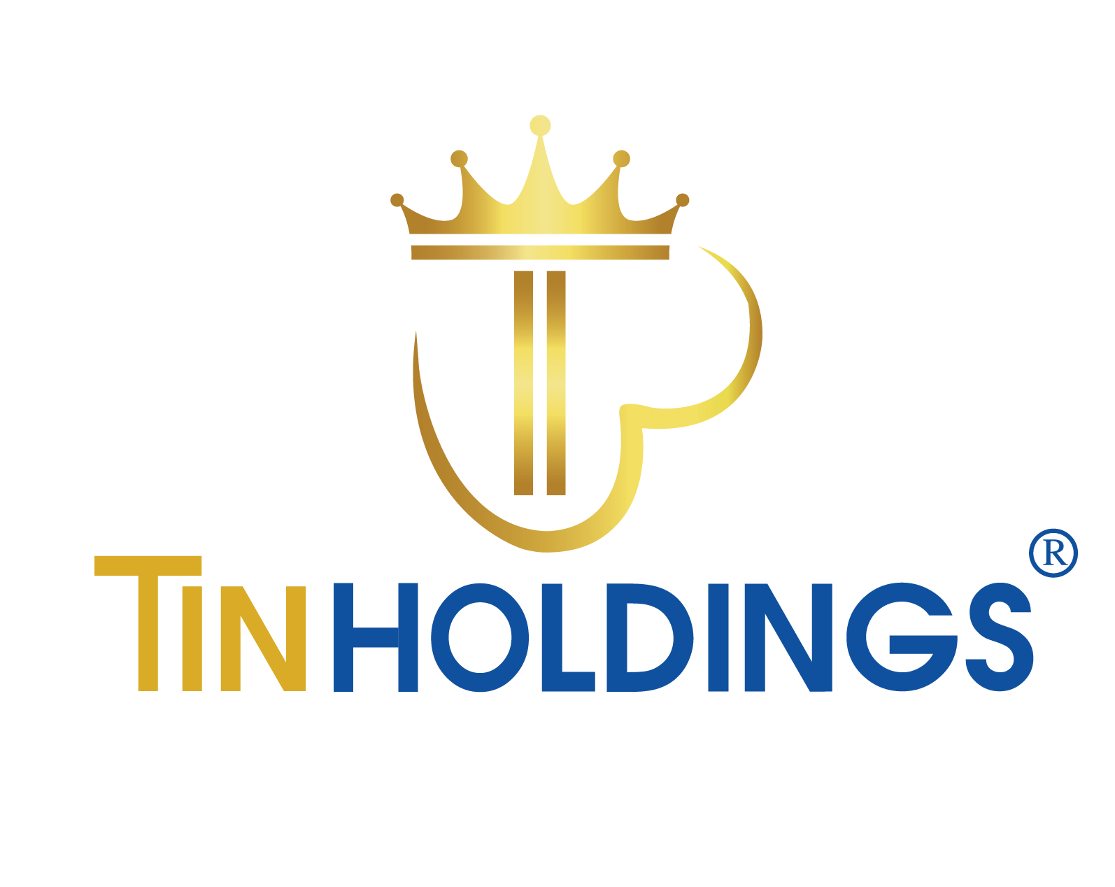 CÔNG TY CỔ PHẦN TIN HOLDINGS