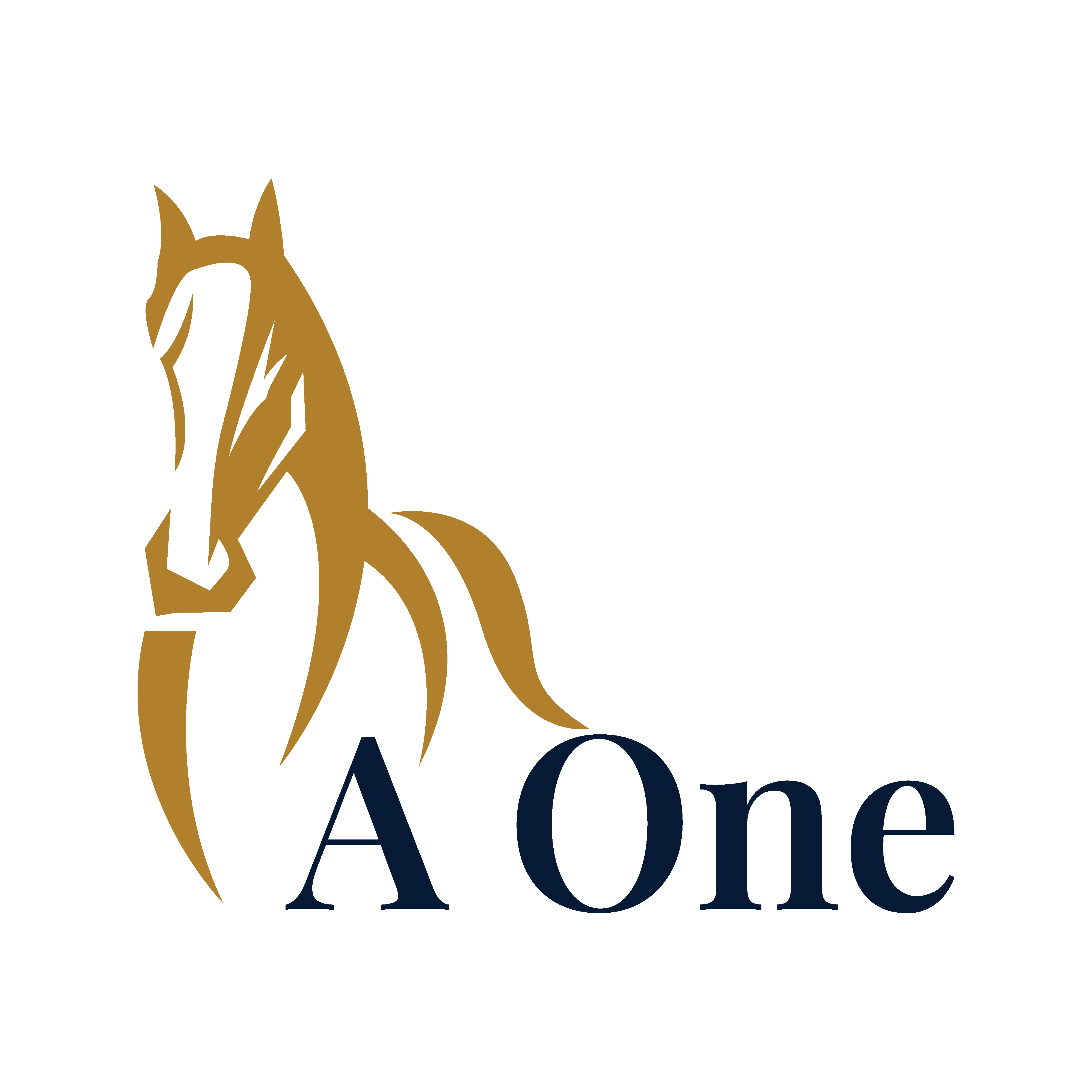 CÔNG TY TNHH KIẾN TRÚC XÂY DỰNG NỘI THẤT A ONE