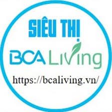 BCA SOLUTIONS