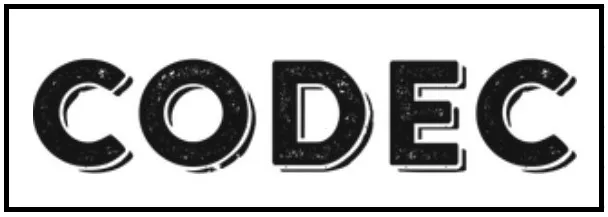 CÔNG TY CỔ PHẦN CÔNG NGHỆ CODEC VIỆT NAM