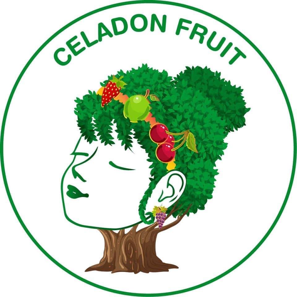 HỘ KINH DOANH CELADON FRUIT